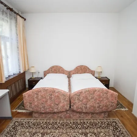 Vila Ivana ゲストハウス